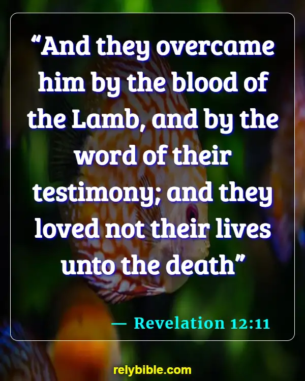 Bible verses About Craziness (Revelation 12:11)