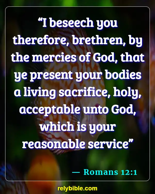 Bible verses About Self Defense (Romans 12:1)