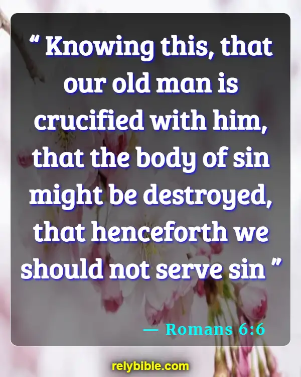 Bible Verse (Romans 6:6)