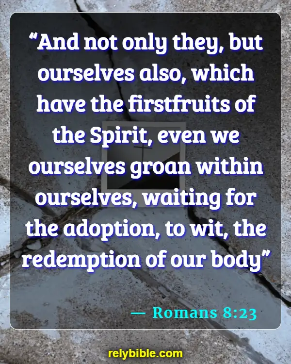 Bible Verse (Romans 8:23)