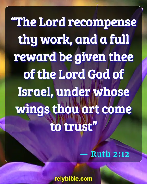 Bible verses About Feathers (Ruth 2:12)