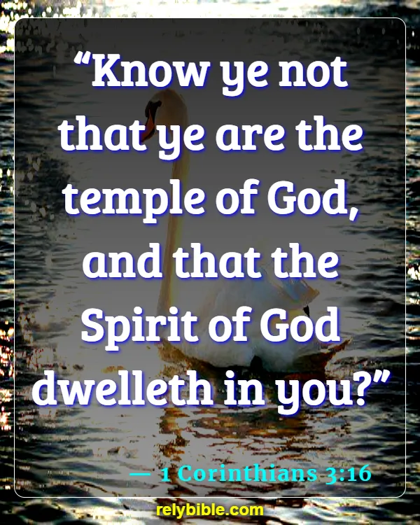 Bible verses About Walking In The Spirit (1 Corinthians 3:16)
