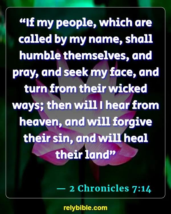 bible verse (2 Chronicles 7:14)