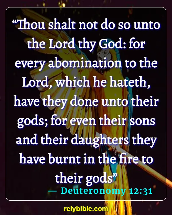 bible verse (Deuteronomy 12:31)