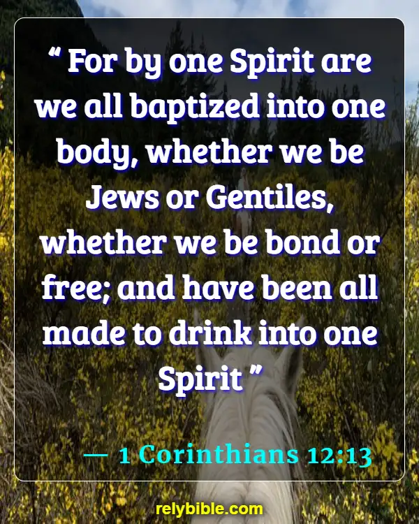 Bible verses About Spirit (1 Corinthians 12:13)