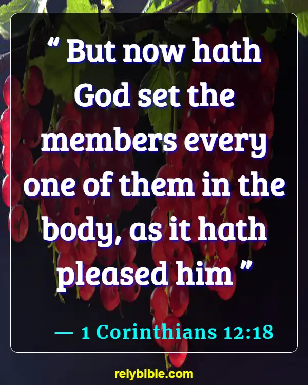 Bible verses About Healthy Body (1 Corinthians 12:18)