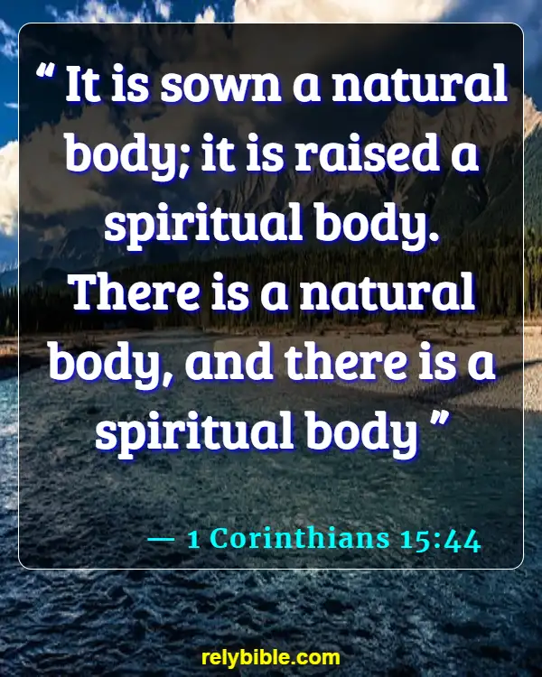 Bible verses About Harming Your Body (1 Corinthians 15:44)
