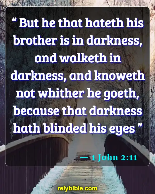 Bible verses About Racism (1 John 2:11)