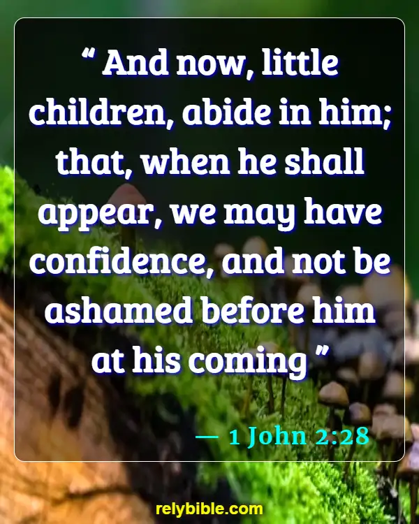 Bible verses About Jesus Second Coming (1 John 2:28)