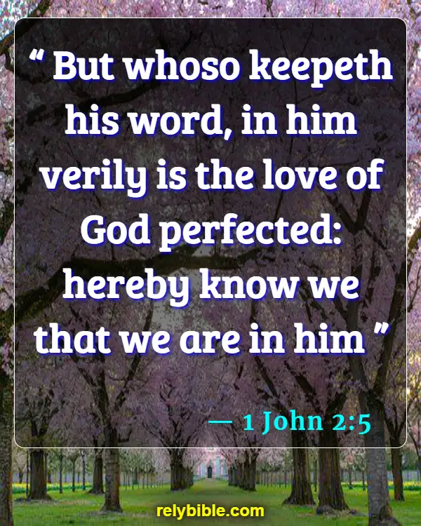 Bible verses About Agape Love (1 John 2:5)