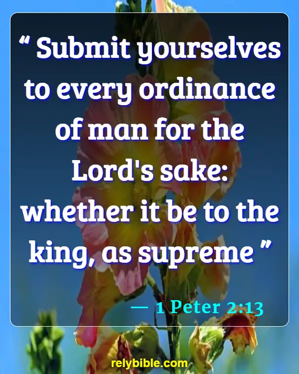 Bible verses About Wives Submitting (1 Peter 2:13)