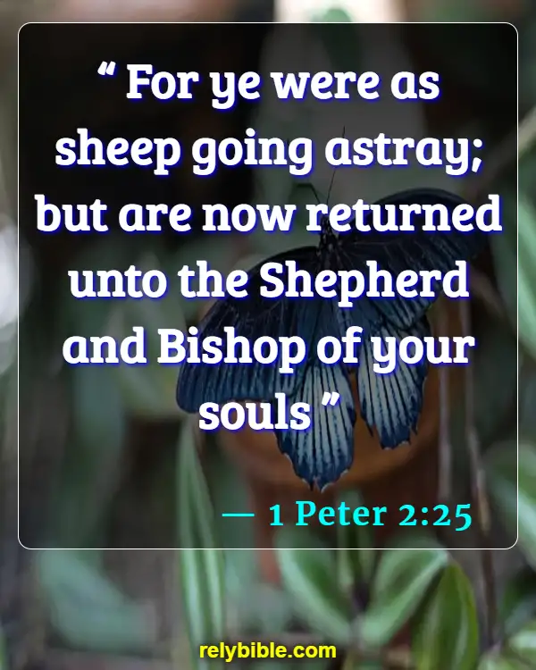 Bible verses About Lost (1 Peter 2:25)