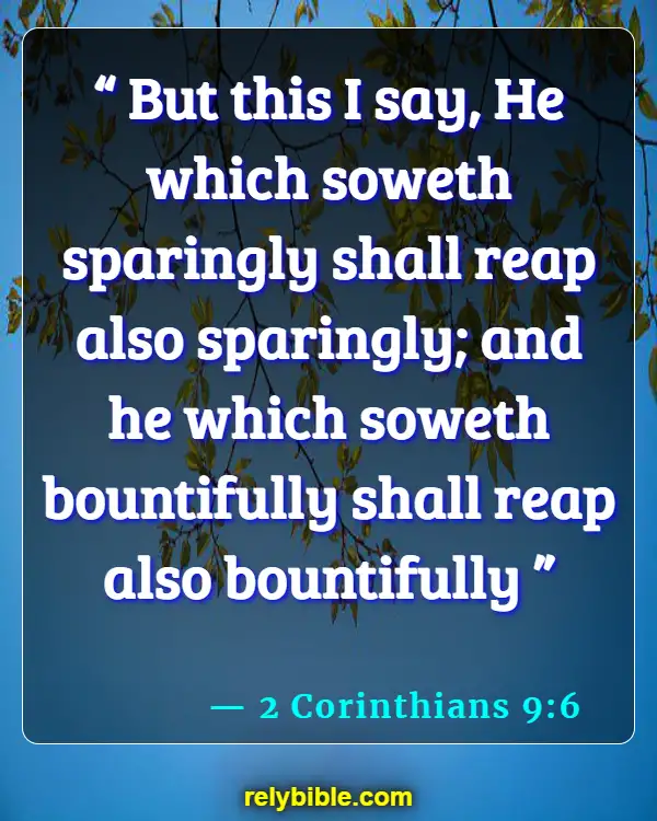 Bible verses About Reaping The Harvest (2 Corinthians 9:6)