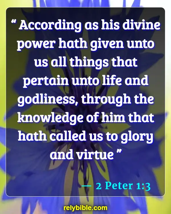 Bible verses About Self Awareness (2 Peter 1:3)