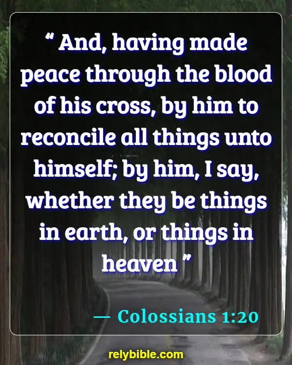 Bible verses About Reconciliation (Colossians 1:20)
