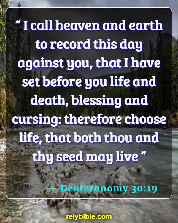 Bible verses About When Life Begins (Deuteronomy 30:19)