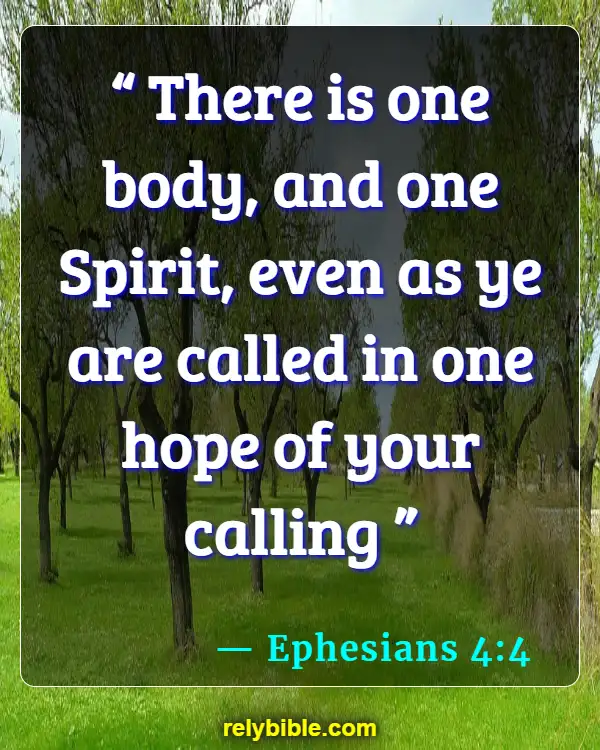 Bible verses About Healthy Body (Ephesians 4:4)