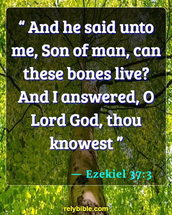 Bible verses About Expectations (Ezekiel 37:3)