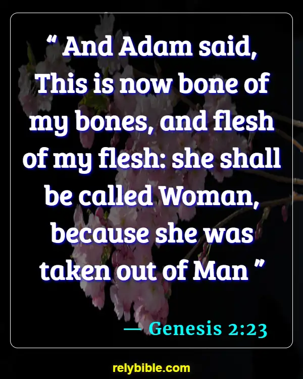 Bible verses About Husband Duties (Genesis 2:23)