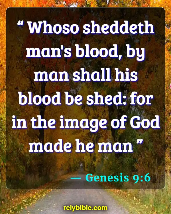 Bible verses About Violence (Genesis 9:6)