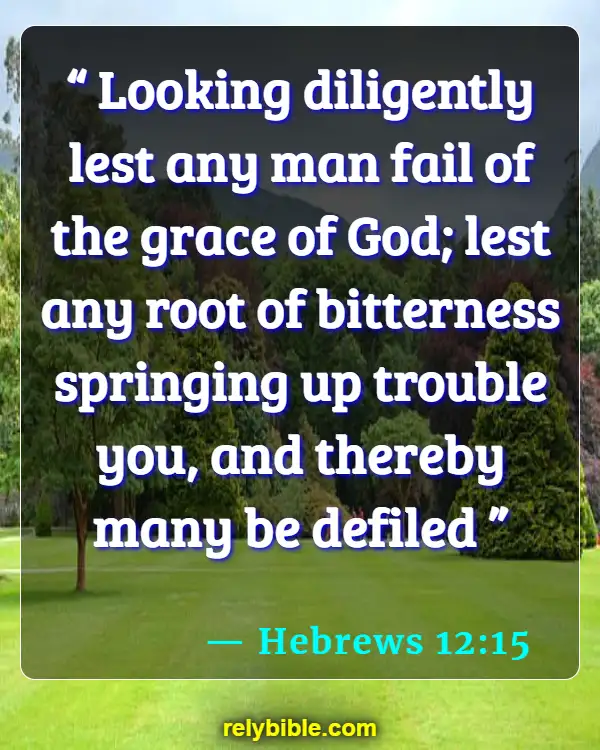 Bible verses About Resolution (Hebrews 12:15)