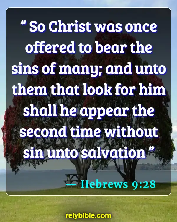 Bible verses About Jesus Return (Hebrews 9:28)