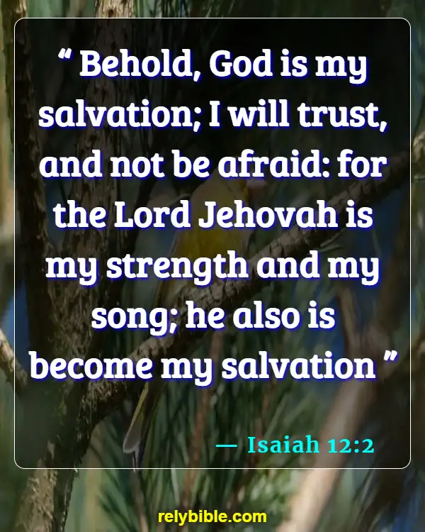 Bible verses About Assurance Of Salvation (Isaiah 12:2)