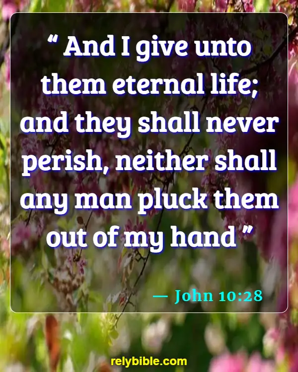 Bible verses About Assurance Of Salvation (John 10:28)