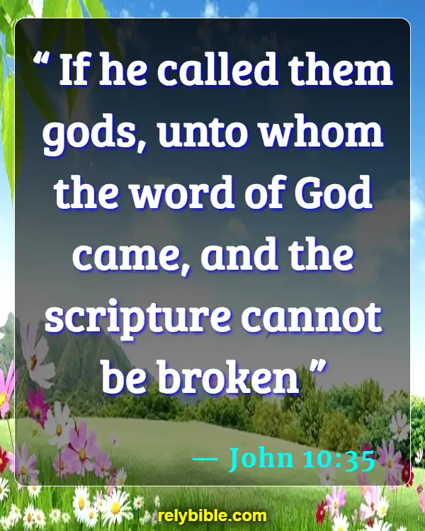Bible verses About Surprises (John 10:35)