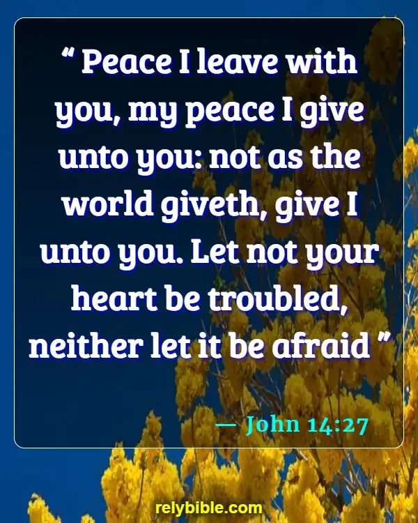 Bible verses About Solitude (John 14:27)