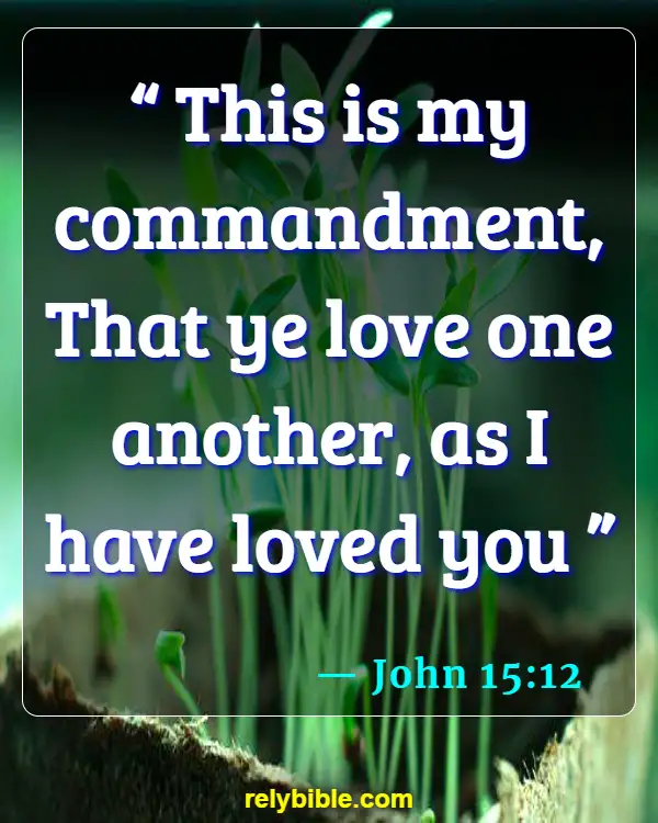 Bible verses About Loving Your Brother (John 15:12)