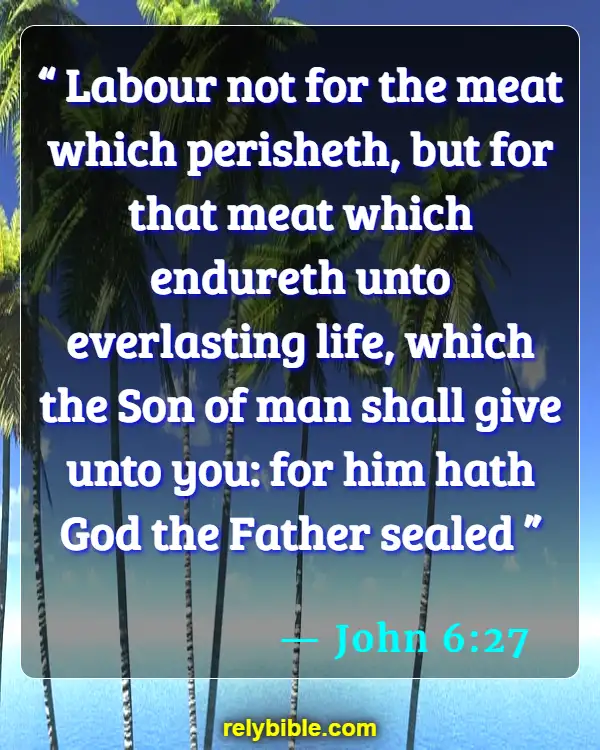 Bible verses About Meat (John 6:27)