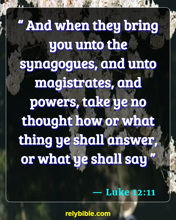 Bible verses About Worry (Luke 12:11)