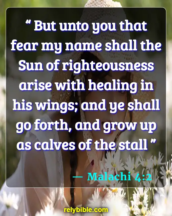 Bible verses About Worry (Malachi 4:2)
