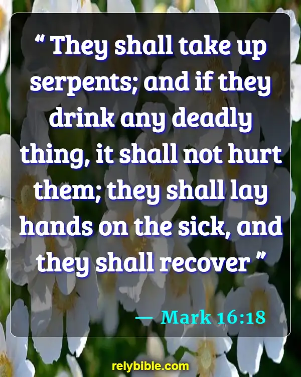 Bible verses About Hands (Mark 16:18)