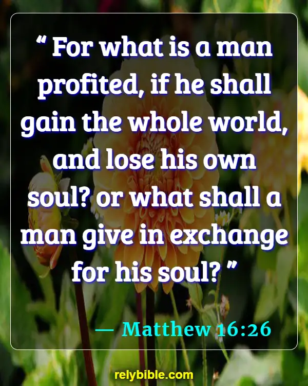 Bible verses About Hoarding (Matthew 16:26)