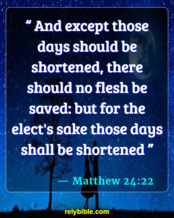 Bible verses About Jesus Return (Matthew 24:22)