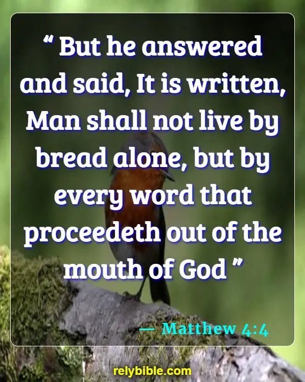 Bible verses About Eating Disorders (Matthew 4:4)
