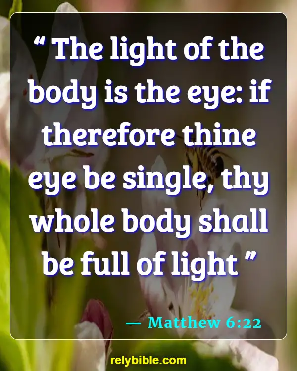 Bible verses About Harming Your Body (Matthew 6:22)