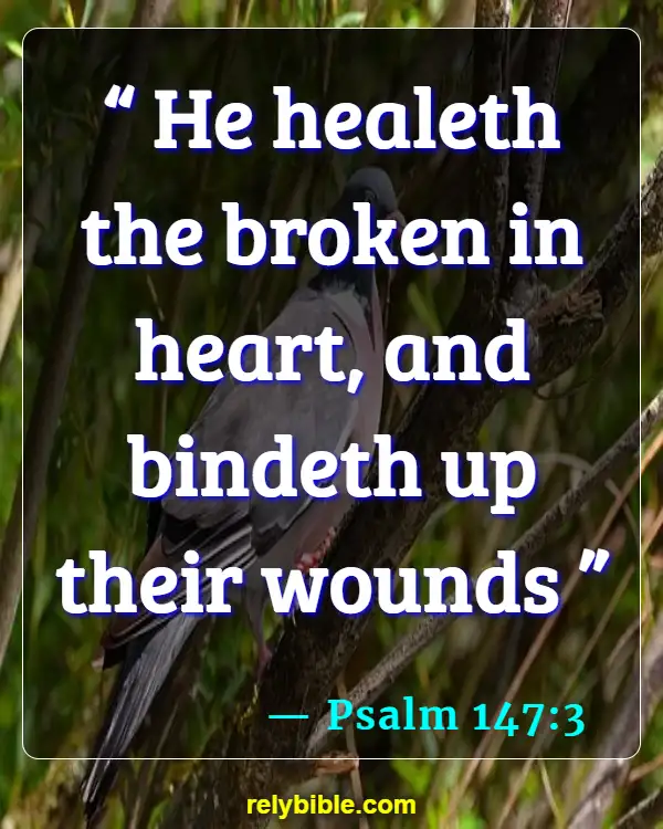Bible verses About Surgery (Psalm 147:3)