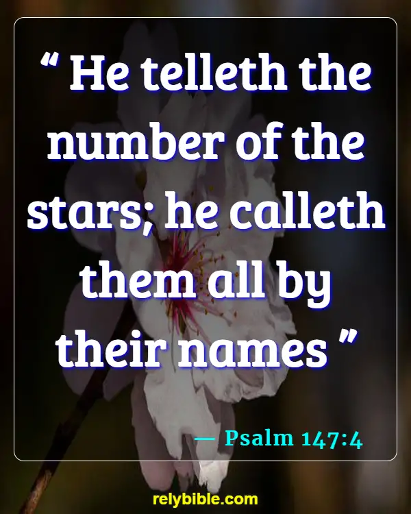 Bible verses About Moon (Psalm 147:4)
