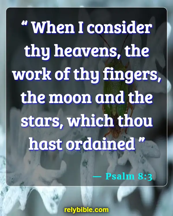 Bible verses About Moon (Psalm 8:3)