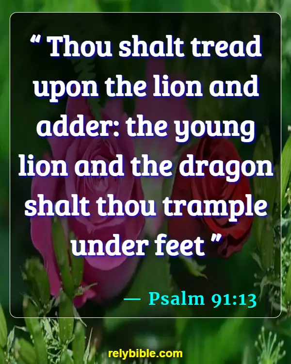 Bible verses About Dragons (Psalm 91:13)