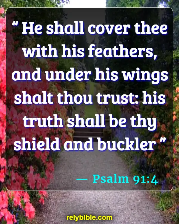 Bible verses About Feathers (Psalm 91:4)