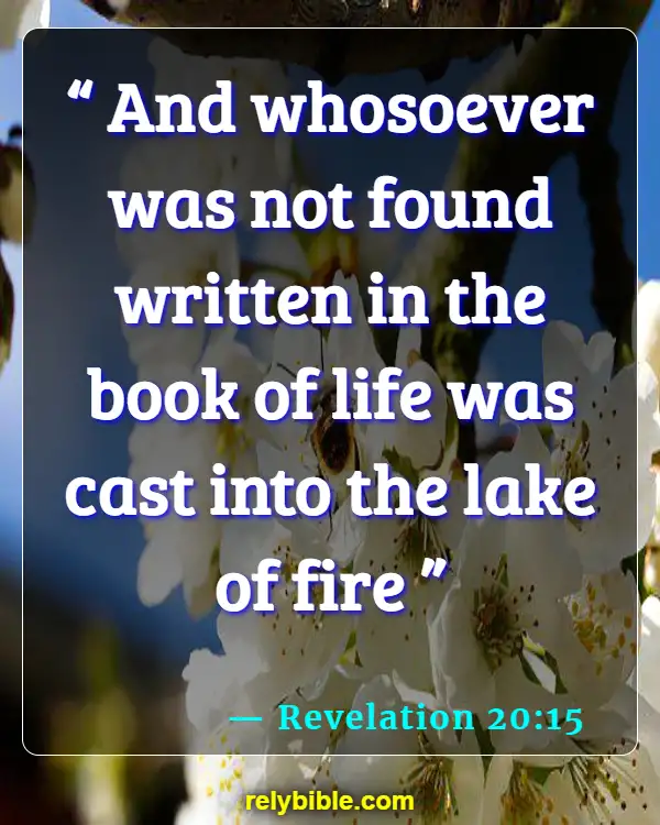 Bible verses About Reconciliation (Revelation 20:15)
