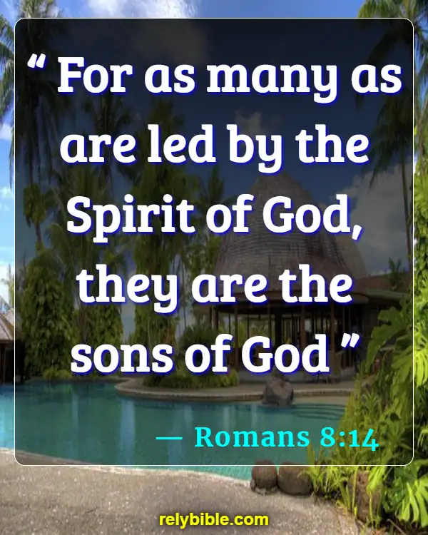 Bible verses About Walking In The Spirit (Romans 8:14)