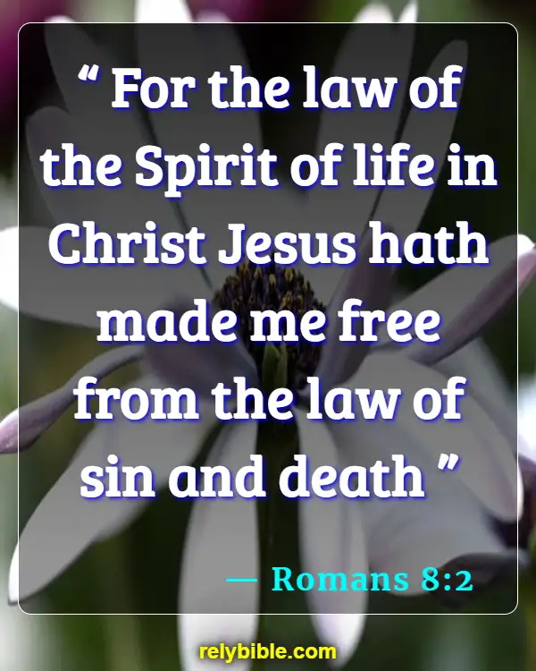 Bible verses About Cancer (Romans 8:2)