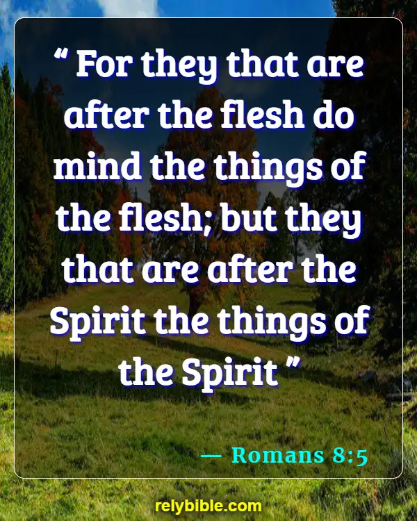 Bible verses About Walking In The Spirit (Romans 8:5)
