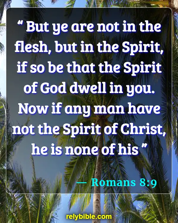 Bible verses About Walking In The Spirit (Romans 8:9)