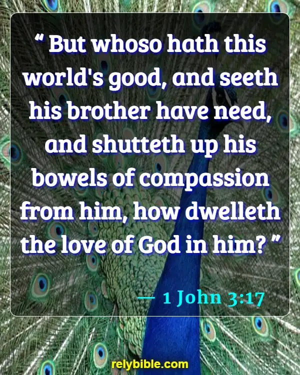 Bible verses About Serving (1 John 3:17)